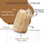 All-Natural Egyptian Loofah Sponges – 3-Pack - Image 2