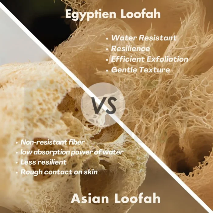 Egyptian Loofah Body Scrubber – 100% Natural [3-Pack] - Image 5